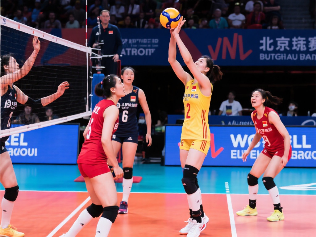 无论是哈兰 无论是哈兰