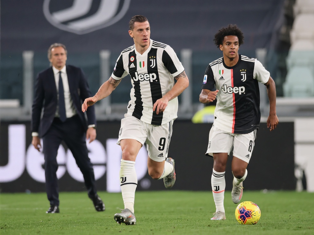 的中国球员 的中国球员